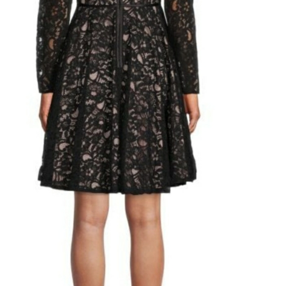 Lace Fit & Flare Dress- Size 8 - Picture 3 of 4